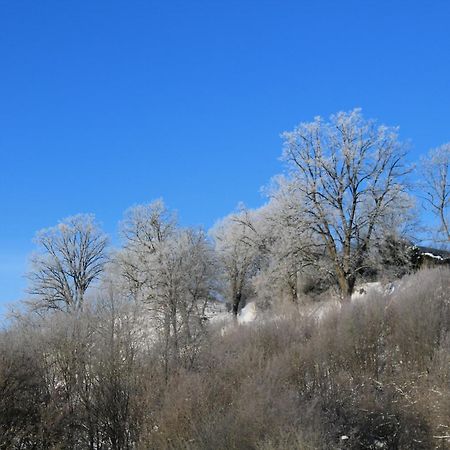 Belvedere Appart & Chalet - Ihr Zuhause Auf Zeit Am Edersee - Ihr Geschenk Die Gaestecard Grimmheimat วัลเด็ค ภายนอก รูปภาพ