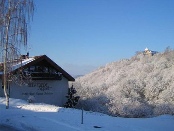Belvedere Appart & Chalet - Ihr Zuhause Auf Zeit Am Edersee - Ihr Geschenk Die Gaestecard Grimmheimat วัลเด็ค ภายนอก รูปภาพ