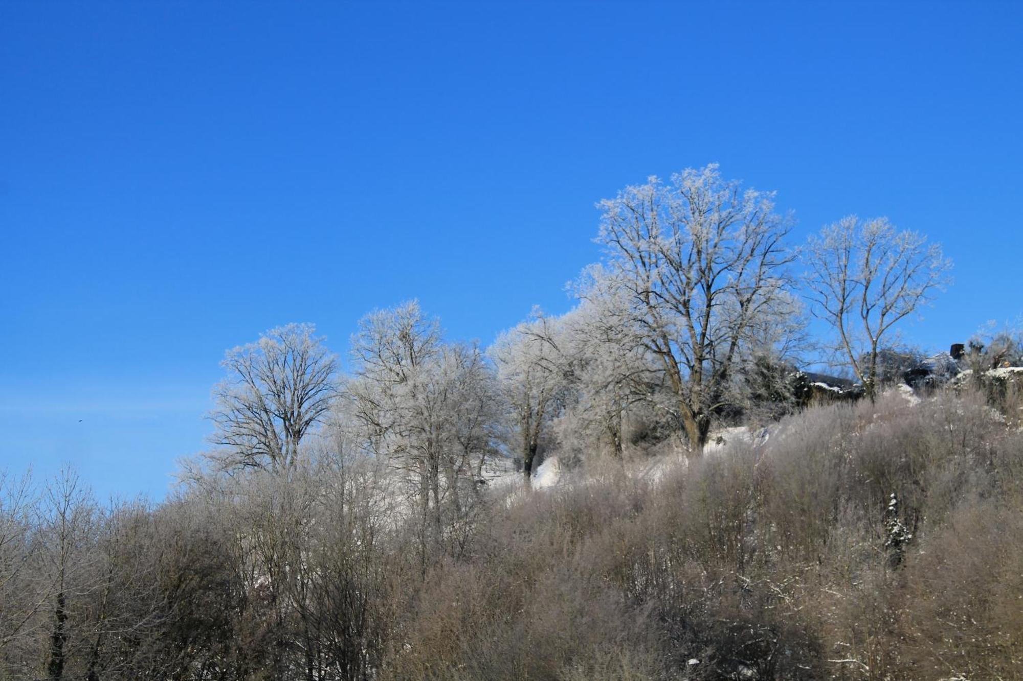 Belvedere Appart & Chalet - Ihr Zuhause Auf Zeit Am Edersee - Ihr Geschenk Die Gaestecard Grimmheimat วัลเด็ค ภายนอก รูปภาพ